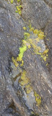 Bir taşın yakınına.