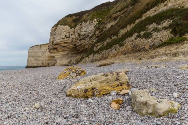 Deniz kıyısının güzel manzarası