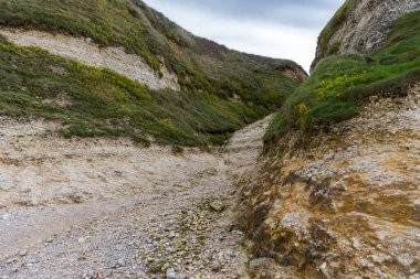 Denizin kayalık plajı