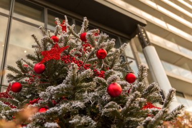 Kırmızı böğürtlenli ve altın yıldızlı Noel ağacı