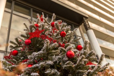 Kırmızı toplu Noel ağacı ve Noel ağacında altın toplar.