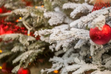 Şehirde noel süsü.