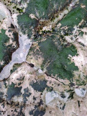 Ormandaki nehrin havadan görünüşü