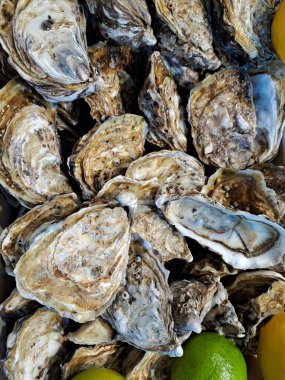 Siyah arka planda limonlu taze istiridye.