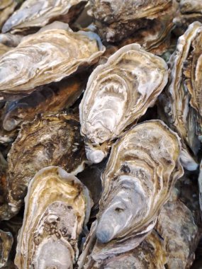 Pazarda taze istiridye.