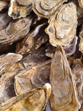 Lezzetli Asya yemeklerinin yakın görüntüsü