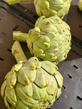 Pazarda taze organik enginarlar