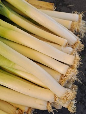 yeşil çimen ve mısır