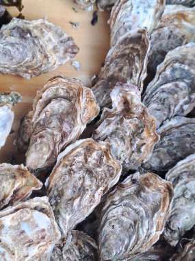 Kumsalda taze istiridye