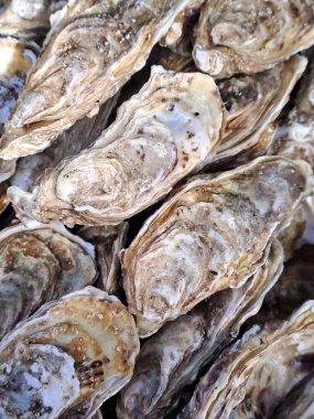 Piyasada taze istiridye