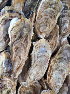 Pazarda buzdaki istiridyeler