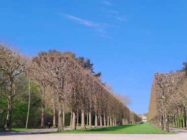 Parkın güzel manzarası