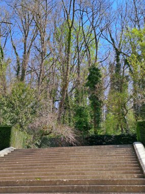 Merdivenler ve merdivenler parkta.