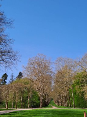 Baharda parkın manzarası