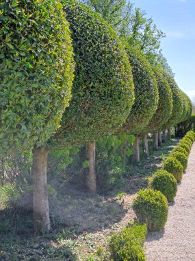aranjuez, Barselona, İspanya Sarayı 'nın Bahçesi