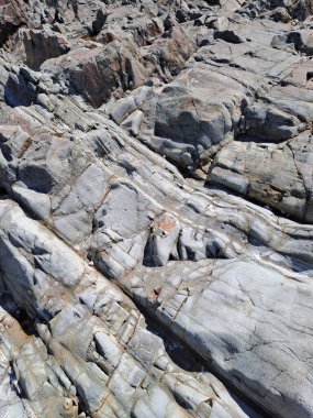 Deniz kıyısının güzel manzarası