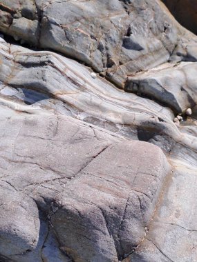 Doğanın güzel manzarası