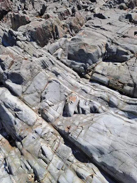 Deniz kıyısının güzel manzarası