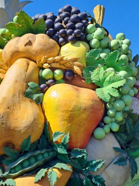 Doğanın güzel manzarası