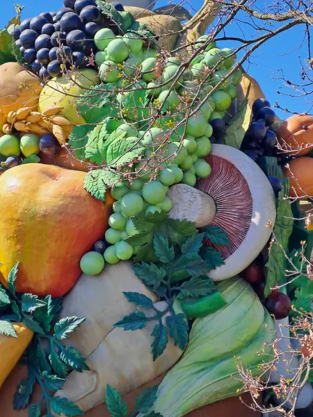 Meyve ve sebzelerin yakın plan çekimi.