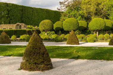 Yeşil çimenleri ve ağaçları olan güzel bir park, güzel yaz çiçekleri, dekoratif tasarım..