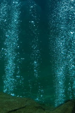 Güzel bir denizin sualtı manzarası