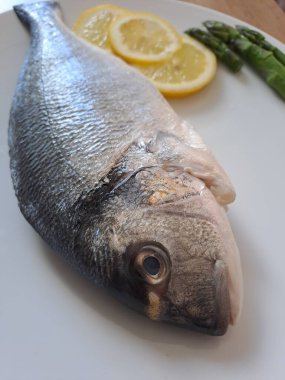 Taze çiğ dorado balık