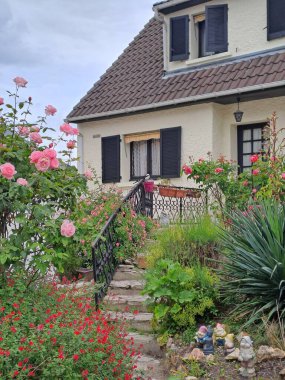 Şehrin güzel manzarası