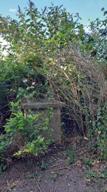 Parktaki eski ahşap çit