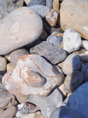 stone wall texture. natural background