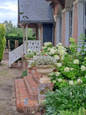 Çiçekleri ve bitkileri olan güzel bir bahçe.