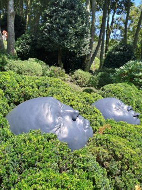 Bahçedeki kara kedi