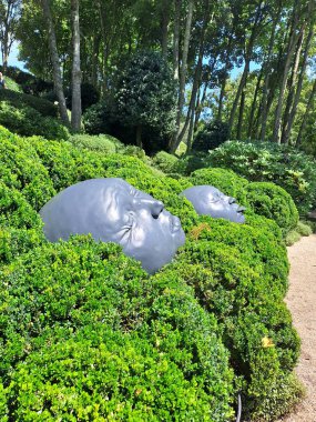 Güzel botanik fotoğrafı, doğal duvar kağıdı.