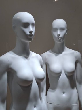 manken bir mağaza pencerede