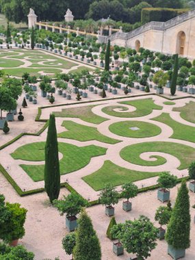 Yazın güzel bir park manzarası
