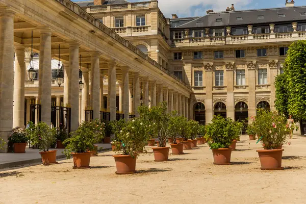 Paris, Fransa 'nın güzel mimarisi ve bahçesi.
