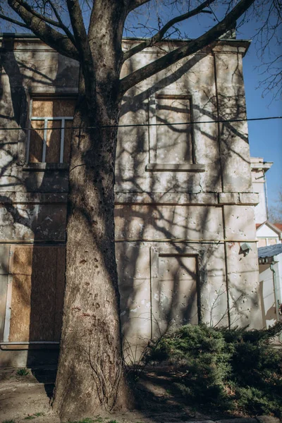 2023年3月11日 ウクライナのミコライフ ロシア空軍の爆撃により損傷を受けた樹木表面 ウクライナでの戦争の概念 公共建築物の破壊 人が死んだ — ストック写真