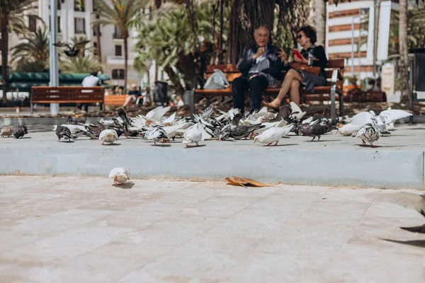 Alicante Spanje Mei 2023 Mensen Ontspannen Aan Strandboulevard Voeden Duiven — Stockfoto