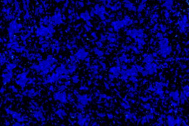 Soyut Mavi Işıldayan Teknoloji Süzgeç Bulanık Arkaplan. Işıltılı Işıklar Festivalinin arka planında doku var. Soyut ışıldayan parlak bokeh dağılmış ve kayan yıldızlar.