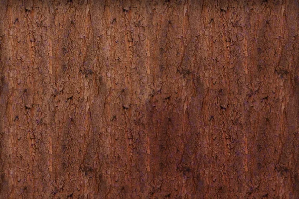 Braune Helle Baumrinde Mit Großem Riss Oberflächenhintergrund Alte Baumrindenstruktur Hintergrundkonzept — Stockfoto