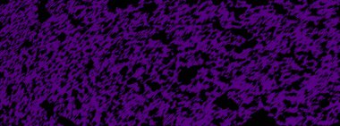 Öncü ekran. Piksel desenli ekran. Dijital arkaplan yapısı. LCD monitörü. Renkli elektronik diyot etkisi. Renkli televizyon videoları. Projektör ızgara şablonu. Vektör çizimi. Duvar kağıtlarının hepsi