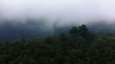 Dağların güzel manzarası