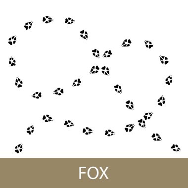 Traces of forest mammal animal, footprints of fox, vector illustration
