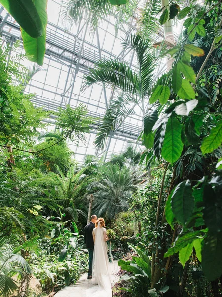 Braut Und Bräutigam Gehen Und Küssen Sich Einem Tropischen Gewächshaus — Stockfoto