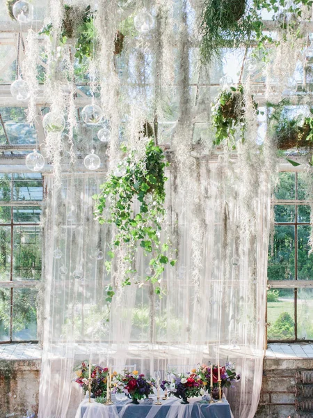 Jemná Svatební Výzdoba Banketu Skleníku Panoramatická Okna Rostliny Visící Stropu — Stock fotografie