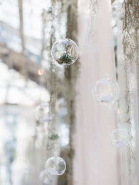 İspanyol yosunu ve cam toplardan yapılmış dekor. Cam kaselerde sulu..