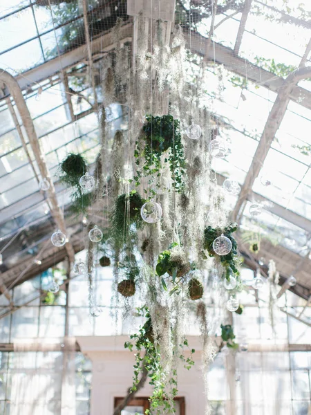 stock image The airy decor of green leaves and transparent layers hangs from the pitched roof of the greenhouse. Decoration of the greenhouse, wedding in the greenhouse. Hanging decor on the ceiling.