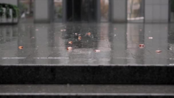城市里的雨 大雨落在沥青路面上 雨要下了 点滴泼洒在沥青上 慢动作 — 图库视频影像