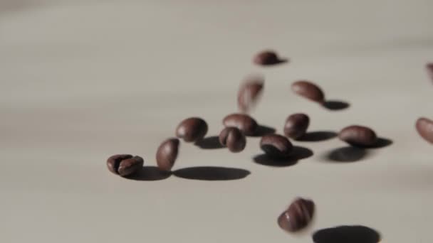 Kahve Çekirdekleri Hafif Bir Yüzeye Düşüyor Kavrulmuş Kahve Çekirdekleri Işık — Stok video