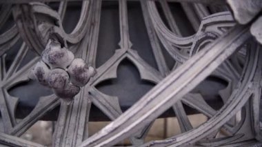 Sahte çit. Demir dekoratif desenler. Metal çitle dövülmüş. Antika süslemelerle dövülmüş metal elementler. Sanatsal sahtecilik. Ayrıntılar. 